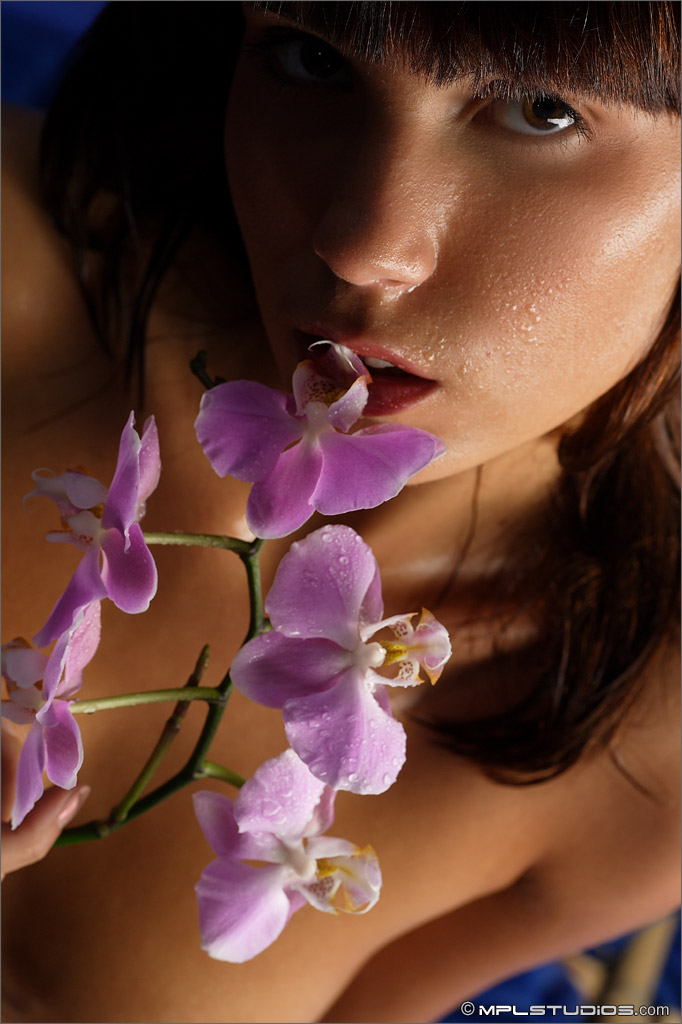 Photo #1 of Nata posing in Orchid in the Night