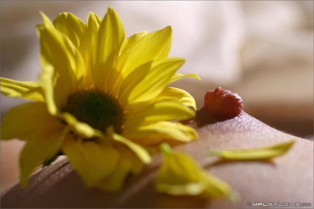 Photo #5 of Vanessa posing in Bodyscape: Flower Power