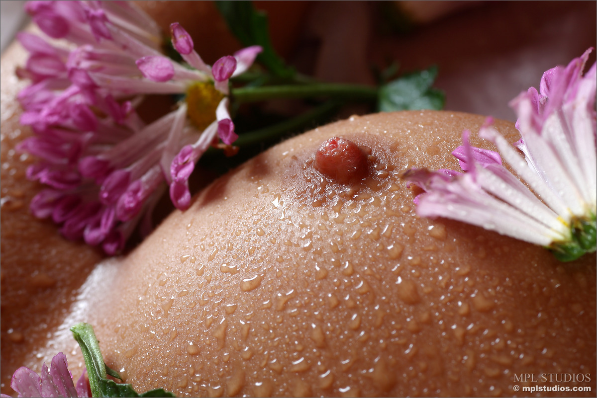 Photo #4 of Chantelle posing in Bodyscape: Misty Morning