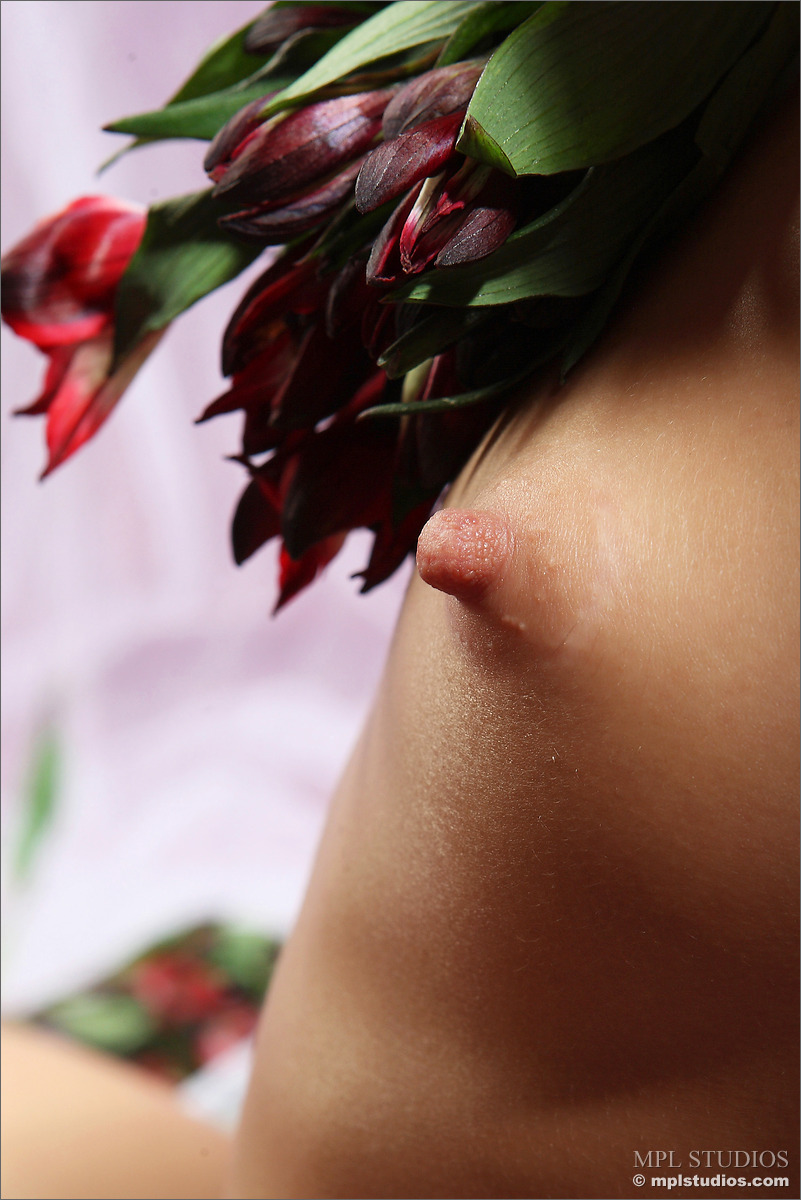 Photo #8 of Nastia posing in Alstroemeria