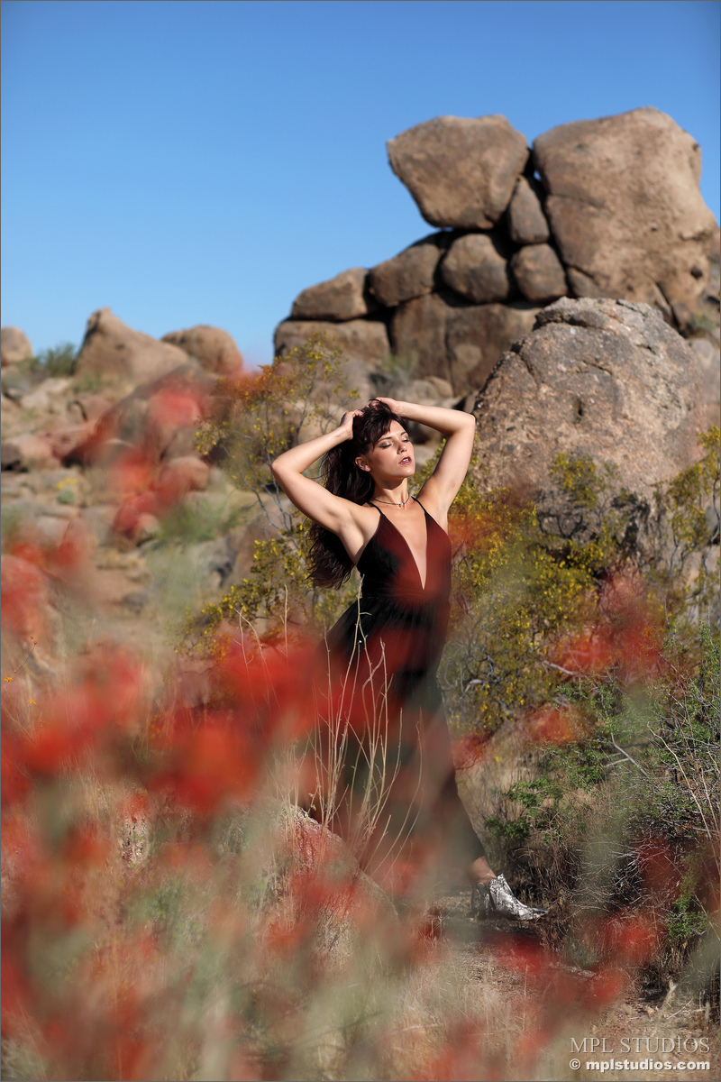 Photo #2 of Elena Generi posing in Desert Gala
