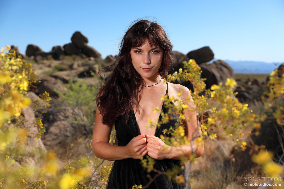 Photo #3 of Elena Generi posing in Desert Gala